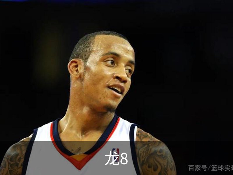 龙8简介